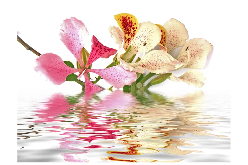 Fototapet Flowers Orchid Tree Bauhinia 400x309, Artgeist sp. z o. o.