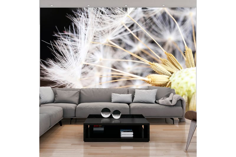 Fototapet Fluffy Dandelion 100x70, Artgeist sp. z o. o.