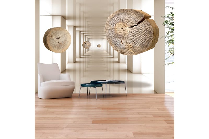 Fototapet Flying Discs Of Wood 300x210, Artgeist sp. z o. o.