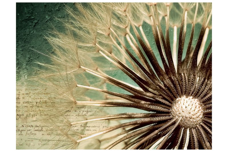 Fototapet Focus On Dandelion 250x193 - Artgeist sp. z o. o. - Inredning - Väggdekor - Tapet & tapettillbehör - Fototapet
