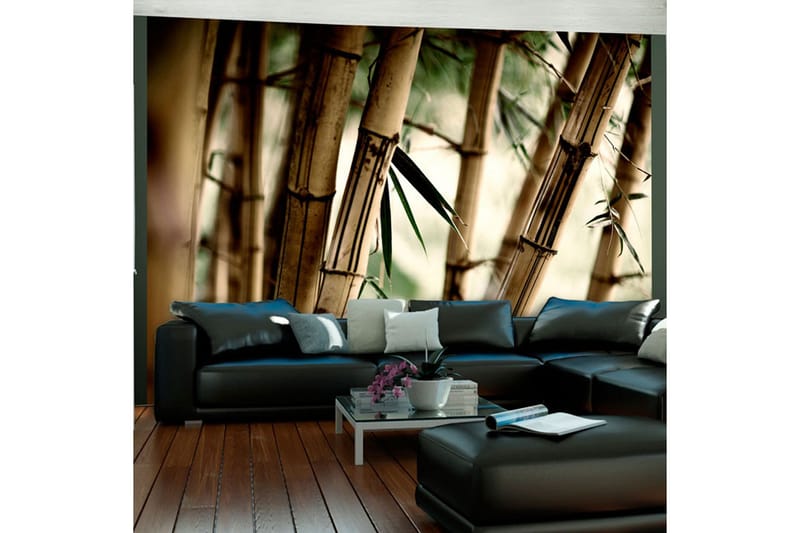Fototapet Fog And Bamboo Forest 200x154 - Artgeist sp. z o. o. - Inredning - Väggdekor - Tapet & tapettillbehör - Fototapet