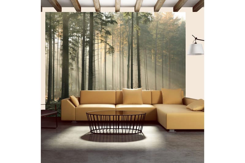 Fototapet Foggy November Morning 300x231 - Artgeist sp. z o. o. - Inredning - Väggdekor - Tapet & tapettillbehör - Fototapet