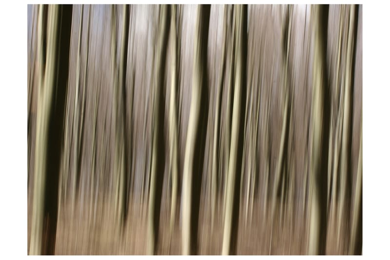 Fototapet Forest 300x231 - Artgeist sp. z o. o. - Inredning - Väggdekor - Tapet & tapettillbehör - Fototapet