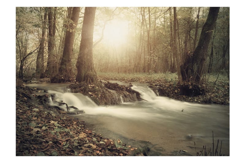 Fototapet Forest Cascade 350x245 - Artgeist sp. z o. o. - Inredning - Väggdekor - Tapet & tapettillbehör - Fototapet