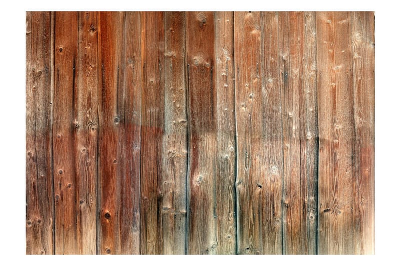 Fototapet Forest Cottage 400x280 - Artgeist sp. z o. o. - Inredning - Väggdekor - Tapet & tapettillbehör - Fototapet