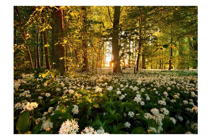 Fototapet Forest Flora 300x210 - Artgeist sp. z o. o. - Inredning - Väggdekor - Tapet & tapettillbehör - Fototapet