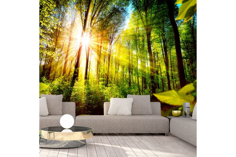 Fototapet Forest Hideout 350x245 - Artgeist sp. z o. o. - Inredning - Väggdekor - Tapet & tapettillbehör - Fototapet