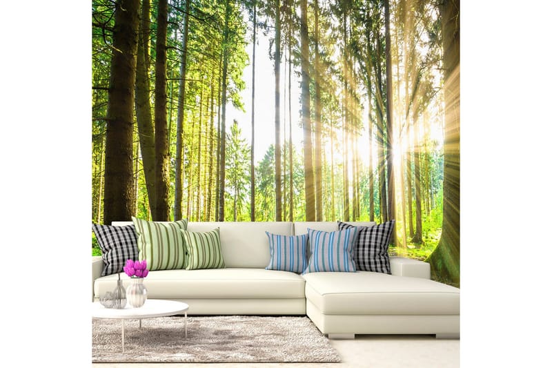 Fototapet Forest Tales 250x175, Artgeist sp. z o. o.