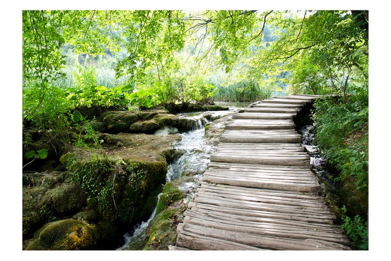 Fototapet Forest Path 300x210, Artgeist sp. z o. o.