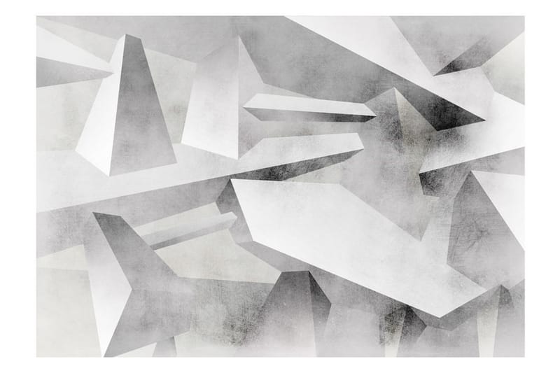 Fototapet Frozen Wings 100x70 - Artgeist sp. z o. o. - Inredning - Väggdekor - Tapet & tapettillbehör - Fototapet