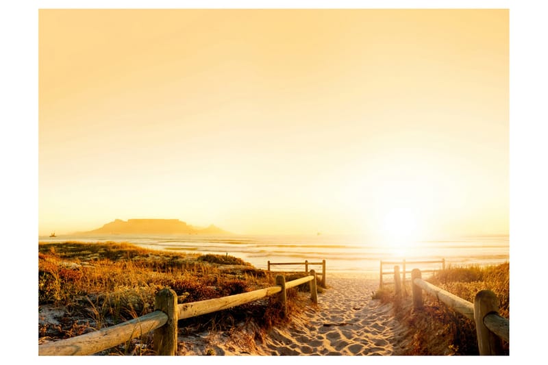 Fototapet Går Riktning Mot Solen 200x154, Artgeist sp. z o. o.