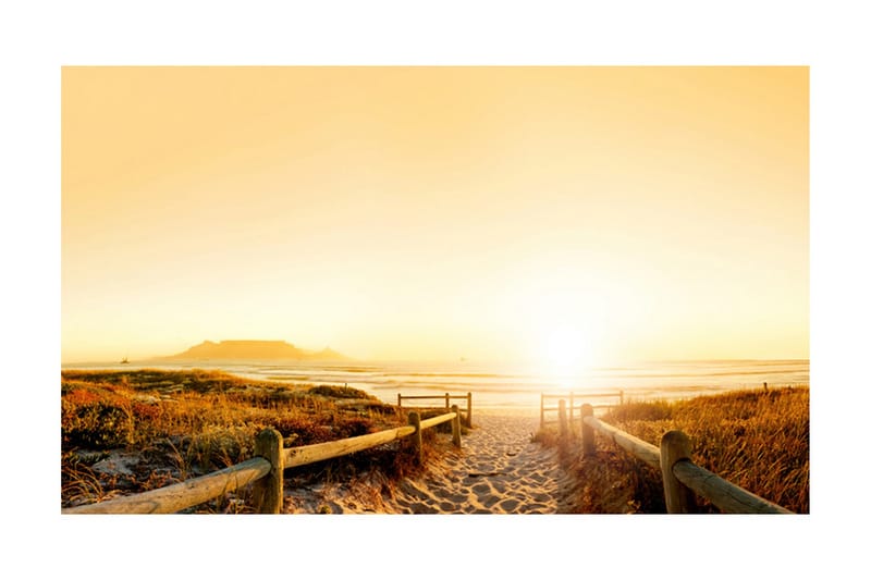 Fototapet Går Riktning Mot Solen 450x270 - Artgeist sp. z o. o. - Inredning - Väggdekor - Tapet & tapettillbehör - Fototapet