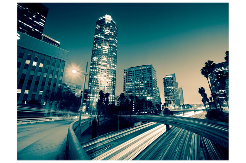Fototapet Gatorna Los Angeles 350x270 - Artgeist sp. z o. o. - Inredning - Väggdekor - Tapet & tapettillbehör - Fototapet