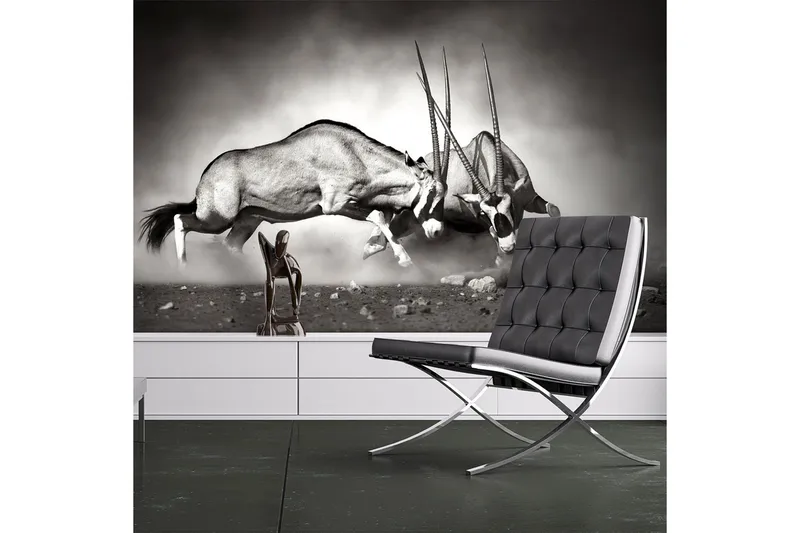 Fototapet Gemsbock Kamp 250x193, Artgeist sp. z o. o.