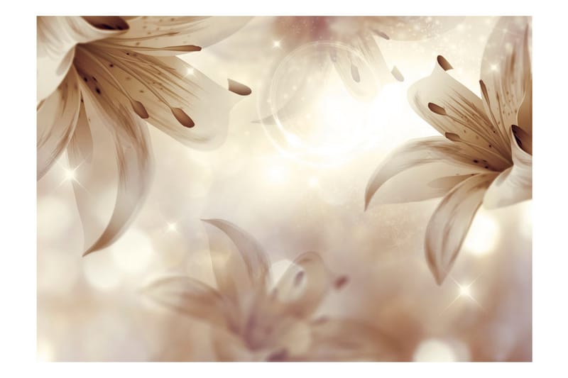 Fototapet Gentle Symphony 350x245 - Artgeist sp. z o. o. - Inredning - Väggdekor - Tapet & tapettillbehör - Fototapet