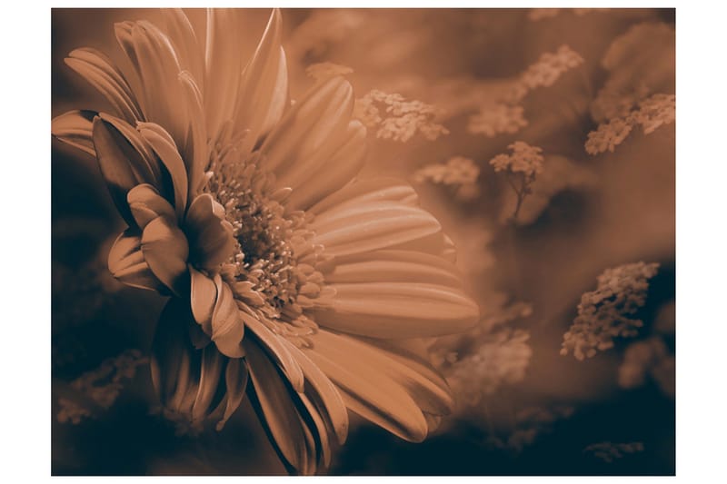 Fototapet Gerbera Brons 250x193 - Artgeist sp. z o. o. - Inredning - Väggdekor - Tapet & tapettillbehör - Fototapet
