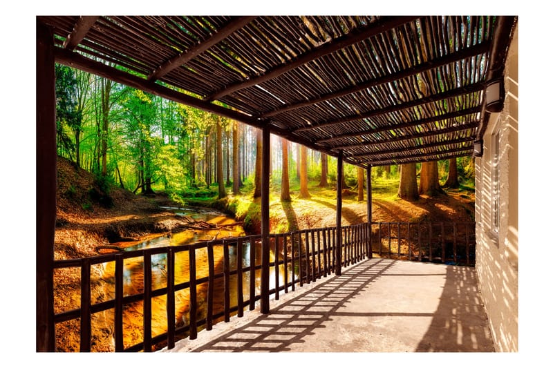Fototapet Getting Back To Nature 300x210 - Artgeist sp. z o. o. - Inredning - Väggdekor - Tapet & tapettillbehör - Fototapet
