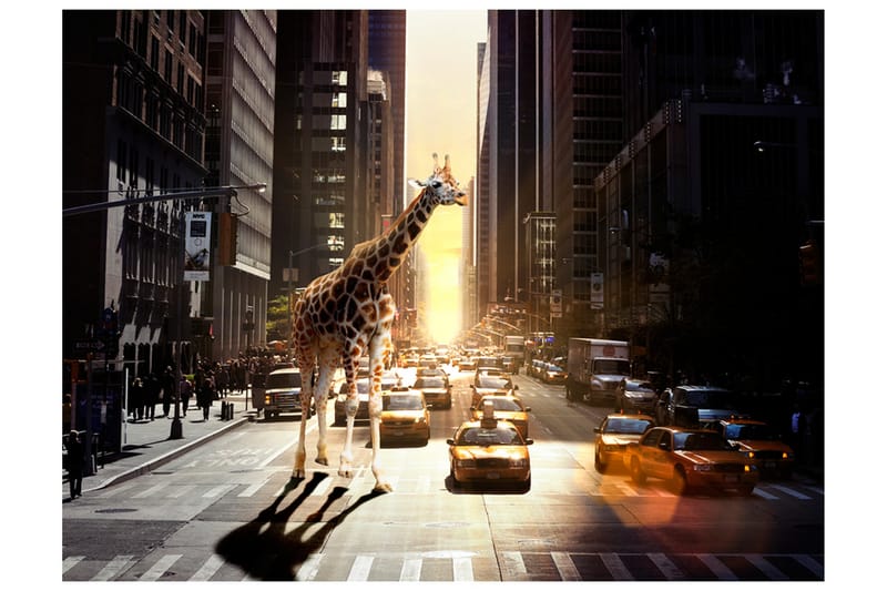 Fototapet Giraff I Den Stora Staden 200x154 - Artgeist sp. z o. o. - Inredning - Väggdekor - Tapet & tapettillbehör - Fototapet