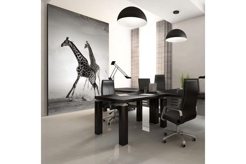 Fototapet Giraffer 250x193, Artgeist sp. z o. o.