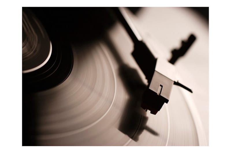 Fototapet Gramophone And Vinyl Record 250x193 - Artgeist sp. z o. o. - Fototapet