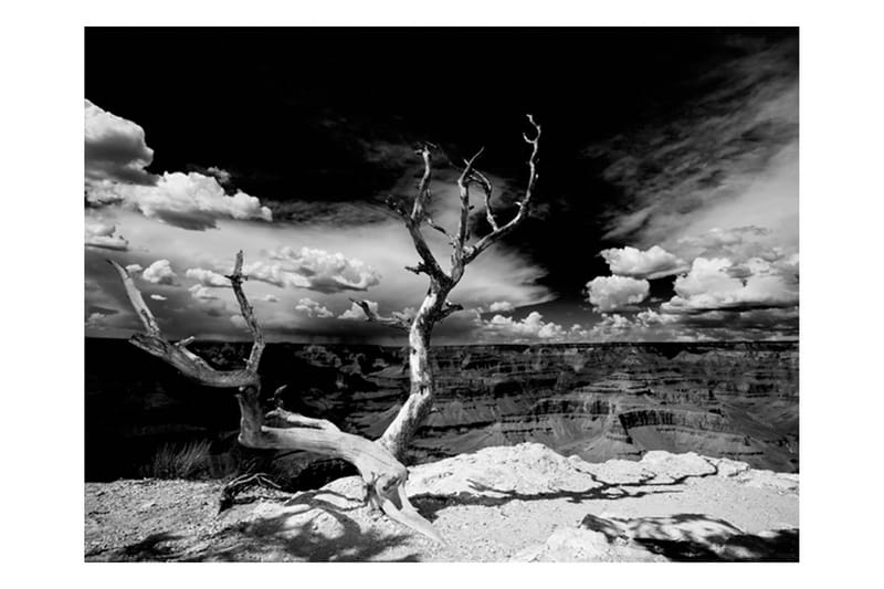 Fototapet Grand Canyon Träd 400x309 - Artgeist sp. z o. o. - Inredning - Väggdekor - Tapet & tapettillbehör - Fototapet