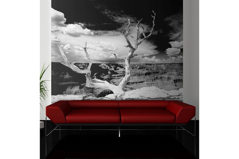 Fototapet Grand Canyon Träd 400x309 - Artgeist sp. z o. o. - Inredning - Väggdekor - Tapet & tapettillbehör - Fototapet