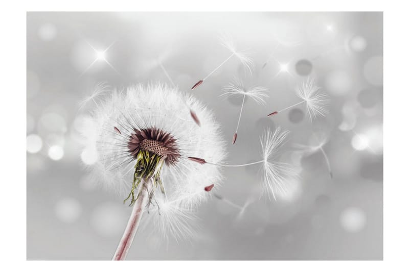 Fototapet Grasping The Invisible 150x105 - Artgeist sp. z o. o. - Inredning - Väggdekor - Tapet & tapettillbehör - Fototapet