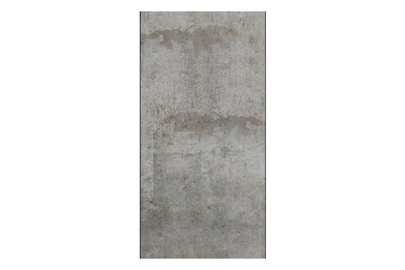 Fototapet Gray Pigeon 50x1000 - Artgeist sp. z o. o. - Inredning - Väggdekor - Tapet & tapettillbehör - Fototapet