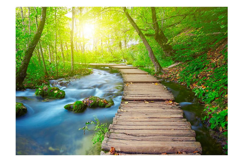 Fototapet Green Forest 150x105 - Artgeist sp. z o. o. - Inredning - Väggdekor - Tapet & tapettillbehör - Fototapet