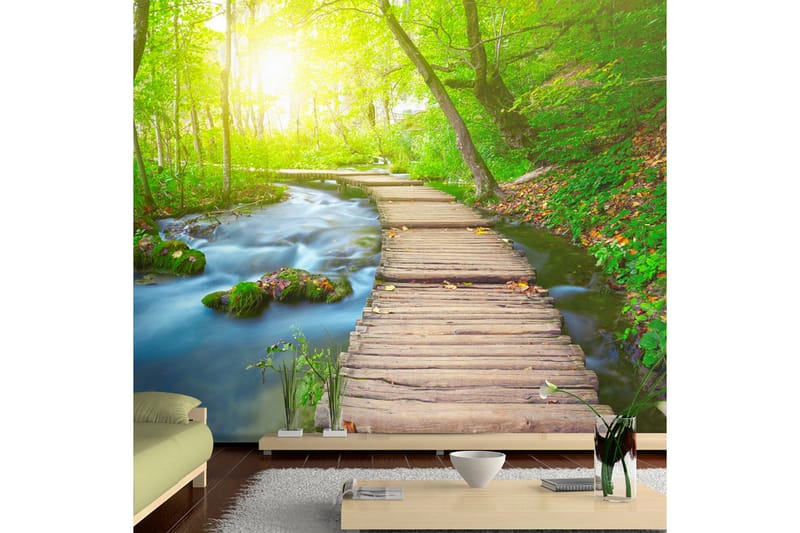 Fototapet Green Forest 250x175 - Artgeist sp. z o. o. - Inredning - Väggdekor - Tapet & tapettillbehör - Fototapet