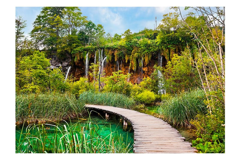 Fototapet Green Oasis 300x210 - Artgeist sp. z o. o. - Inredning - Väggdekor - Tapet & tapettillbehör - Fototapet