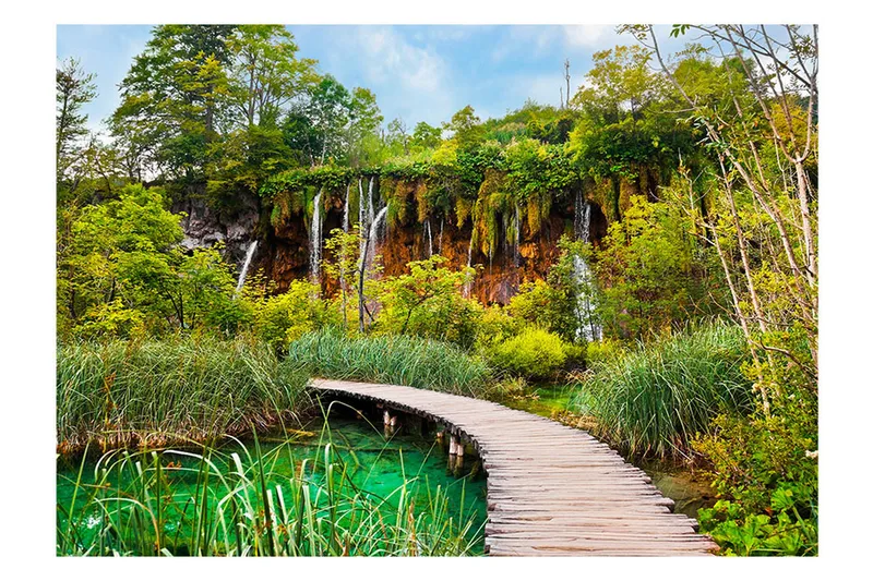 Fototapet Green Oasis 400x280, Artgeist sp. z o. o.