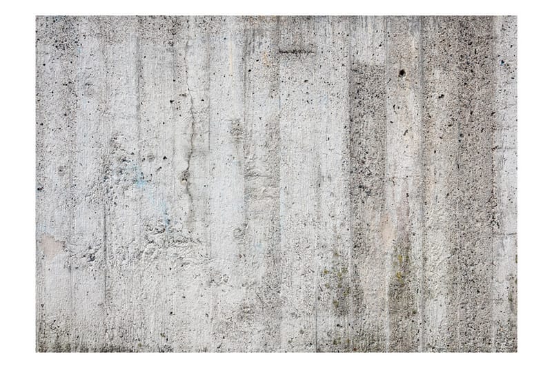 Fototapet Grey Emperor 350x245 - Artgeist sp. z o. o. - Inredning - Väggdekor - Tapet & tapettillbehör - Fototapet