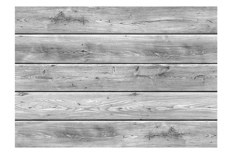 Fototapet Grey Kingdom 300x210 - Artgeist sp. z o. o. - Inredning - Väggdekor - Tapet & tapettillbehör - Fototapet