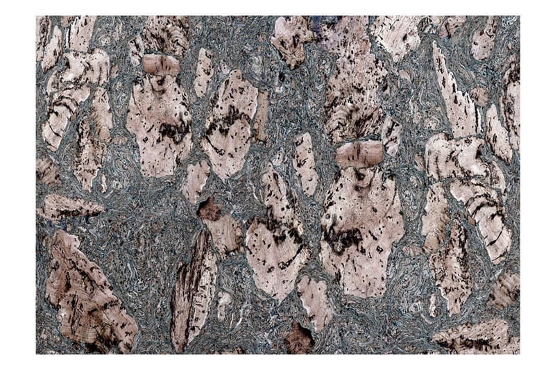 Fototapet Grey Stopper 250x175, Artgeist sp. z o. o.