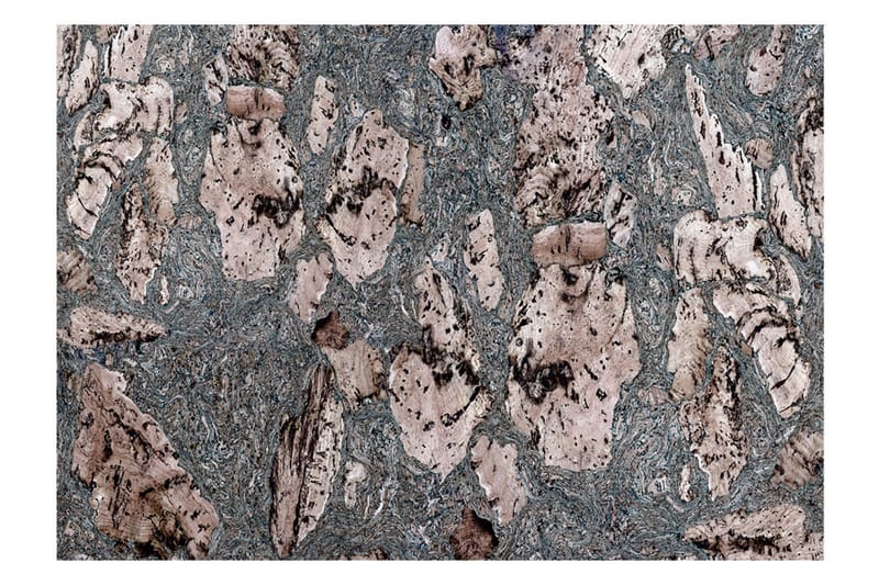 Fototapet Grey Stopper 350x245 - Artgeist sp. z o. o. - Inredning - Väggdekor - Tapet & tapettillbehör - Fototapet