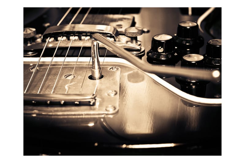 Fototapet Guitar 400x309 - Artgeist sp. z o. o. - Inredning - Väggdekor - Tapet & tapettillbehör - Fototapet