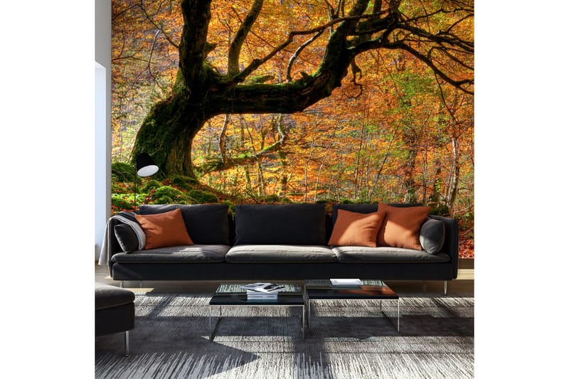 Fototapet Höst Skog Och Löv 450x270 - Artgeist sp. z o. o. - Inredning - Väggdekor - Tapet & tapettillbehör - Fototapet