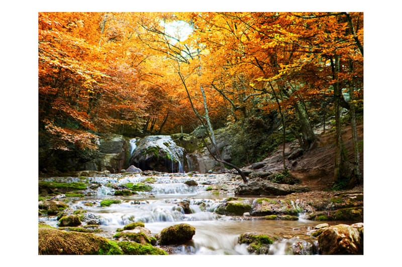 Fototapet Höst Vattenfall 350x270 - Artgeist sp. z o. o. - Inredning - Väggdekor - Tapet & tapettillbehör - Fototapet