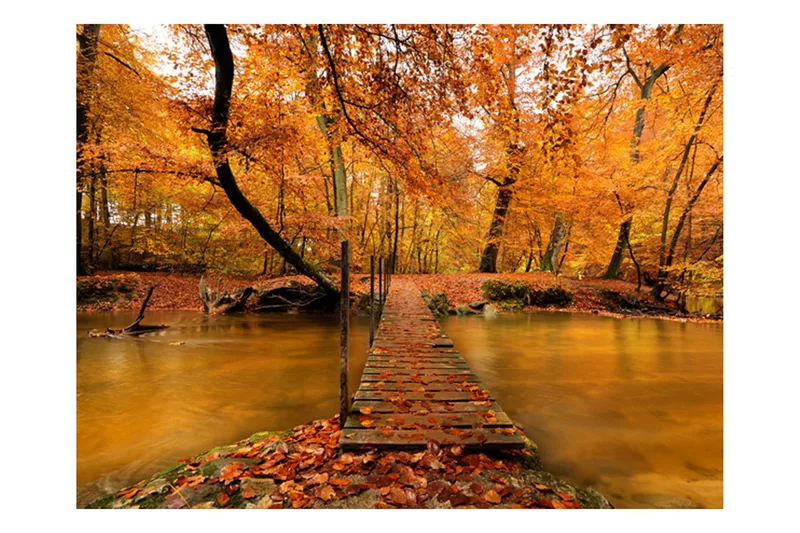 Fototapet Hösten Bro 400x309 - Artgeist sp. z o. o. - Inredning - Väggdekor - Tapet & tapettillbehör - Fototapet