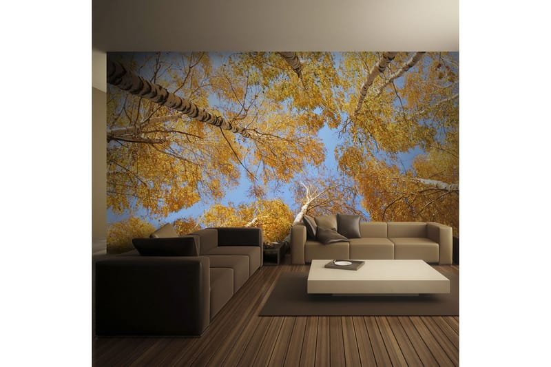 Fototapet Höstlig Trädtopparna 200x154 - Artgeist sp. z o. o. - Inredning - Väggdekor - Tapet & tapettillbehör - Fototapet