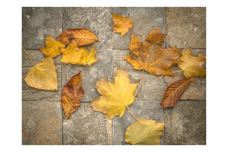 Fototapet Harbinger Of Autumn 200x154, Artgeist sp. z o. o.