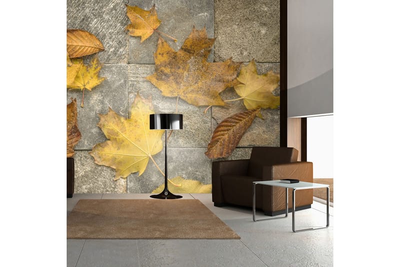 Fototapet Harbinger Of Autumn 250x193 - Artgeist sp. z o. o. - Inredning - Väggdekor - Tapet & tapettillbehör - Fototapet