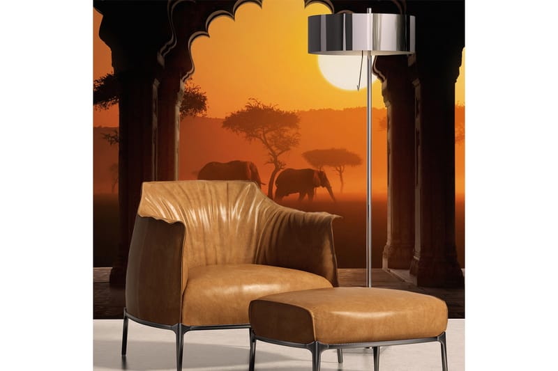 Fototapet Hear Africa 350x270, Artgeist sp. z o. o.