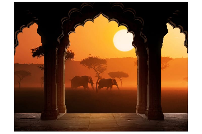 Fototapet Hear Africa 350x270 - Artgeist sp. z o. o. - Inredning - Väggdekor - Tapet & tapettillbehör - Fototapet
