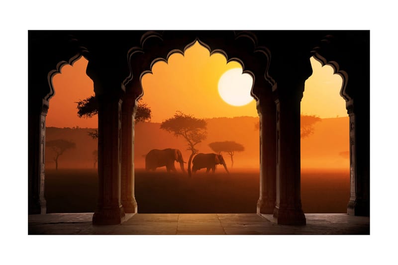 Fototapet Hear Africa 450x270 - Artgeist sp. z o. o. - Inredning - Väggdekor - Tapet & tapettillbehör - Fototapet