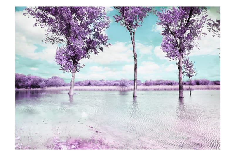 Fototapet Heather Landscape 400x280 - Artgeist sp. z o. o. - Inredning - Väggdekor - Tapet & tapettillbehör - Fototapet