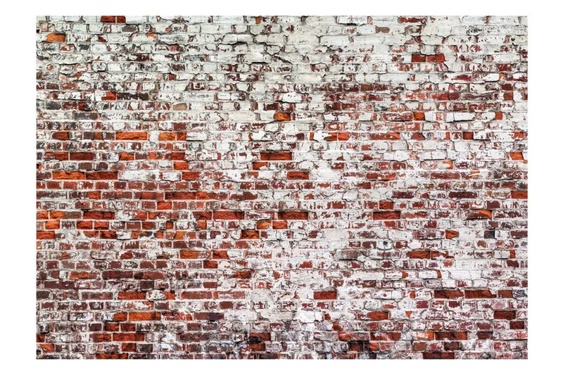 Fototapet Her Highness The Brick 250x175 - Artgeist sp. z o. o. - Inredning - Väggdekor - Tapet & tapettillbehör - Fototapet