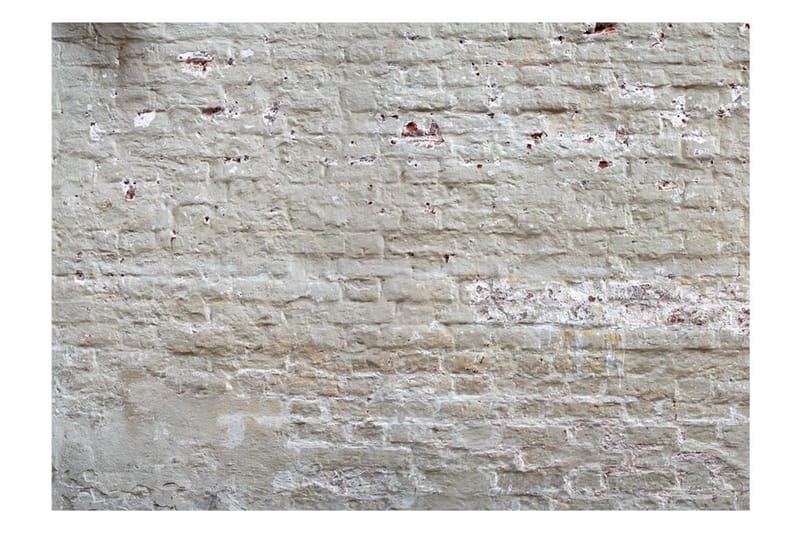 Fototapet Hidden Harmony 150x105 - Artgeist sp. z o. o. - Inredning - Väggdekor - Tapet & tapettillbehör - Fototapet