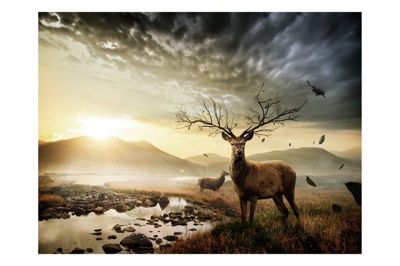 Fototapet Hjortar Och Fjällbäck 250x193 - Artgeist sp. z o. o. - Inredning - Väggdekor - Tapet & tapettillbehör - Fototapet